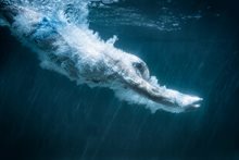 Human diving into water