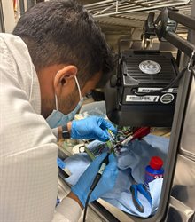 Focused reseacher at work with reliability testing equipment